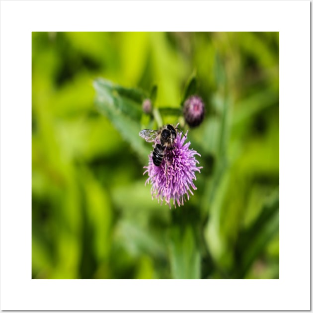 A Bee on a Purple Flower Wall Art by Seven Mustard Seeds